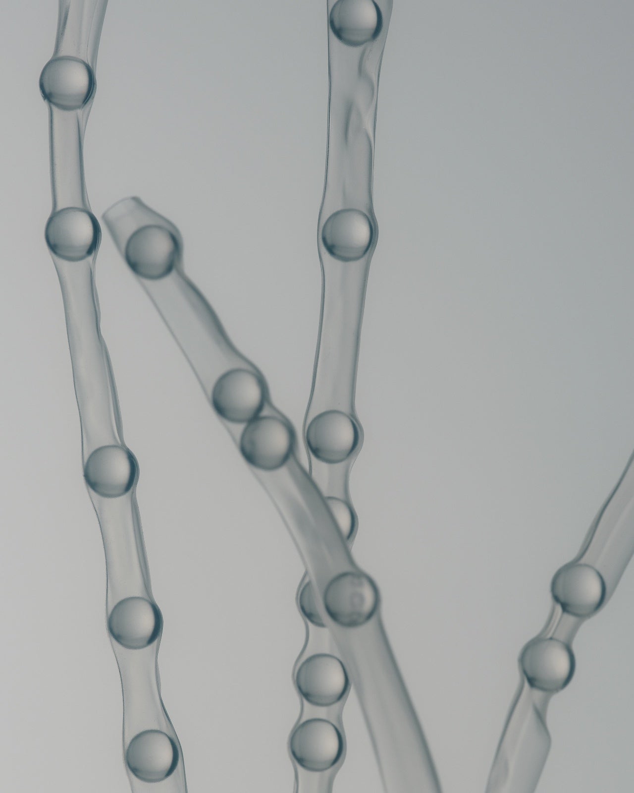 The Brains Behind Your Gut: Meet our Scientific Advisory Board