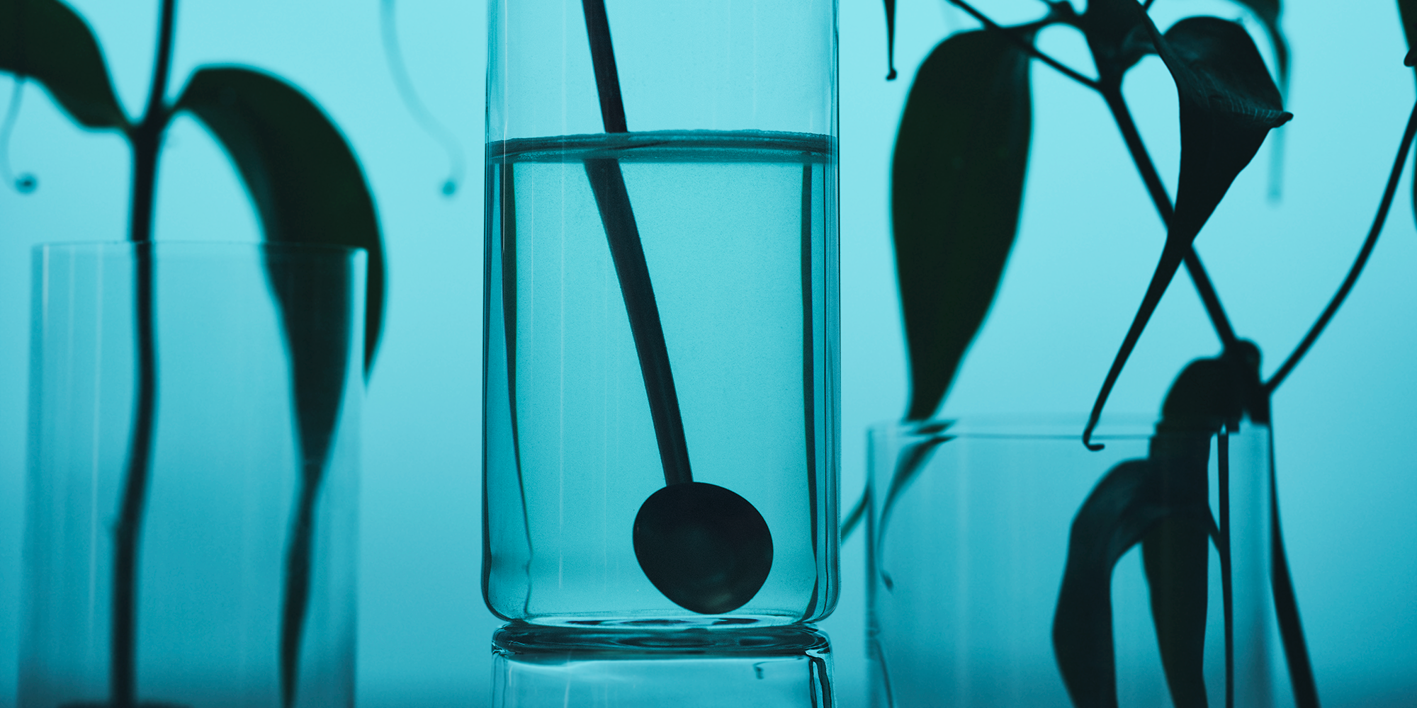 How Much Fiber Do You Actually Need Each Day? (The Answer Might Surprise You)