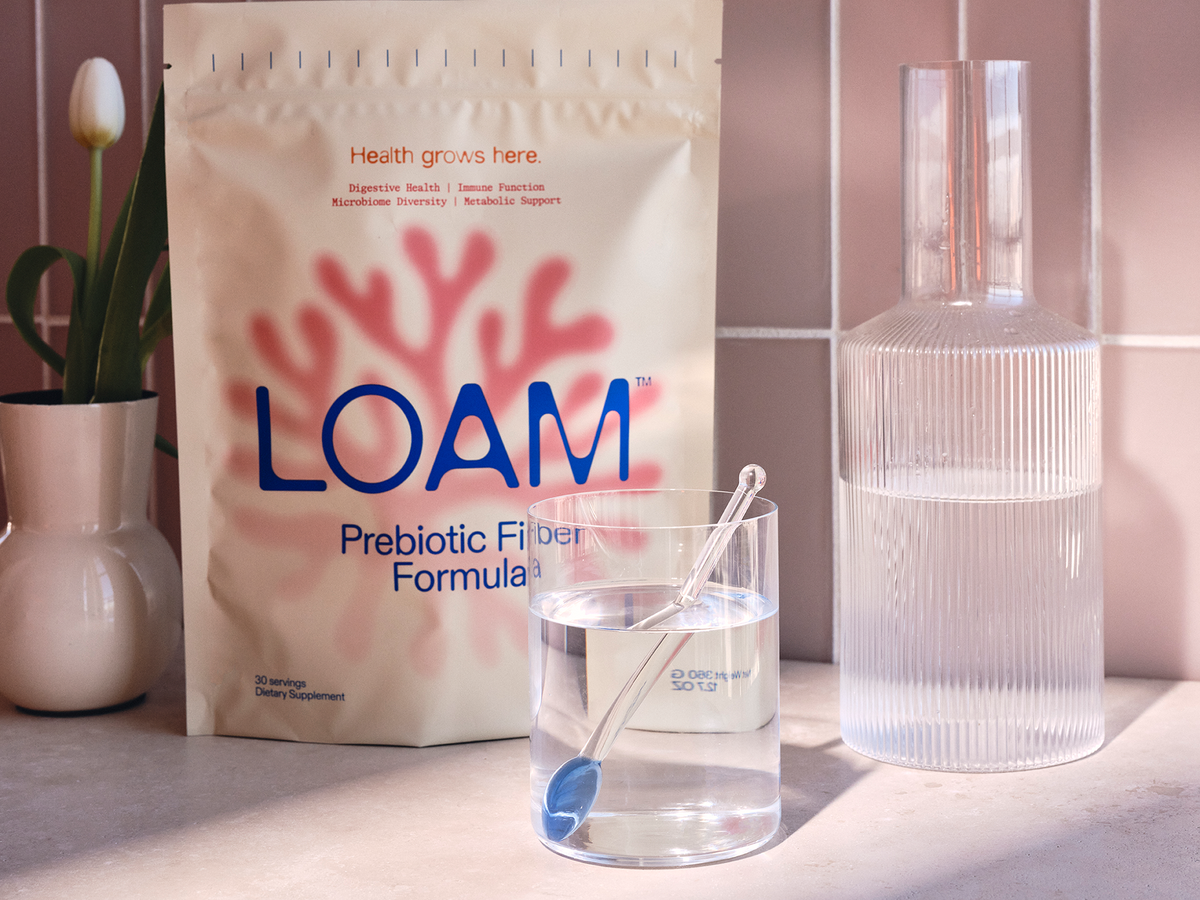 Loam Recipe Java Your Ultimate Starter Guide to LOAM