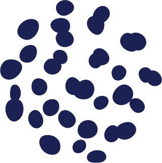 <strong>Get Focused:</strong> Promotes mental clarity